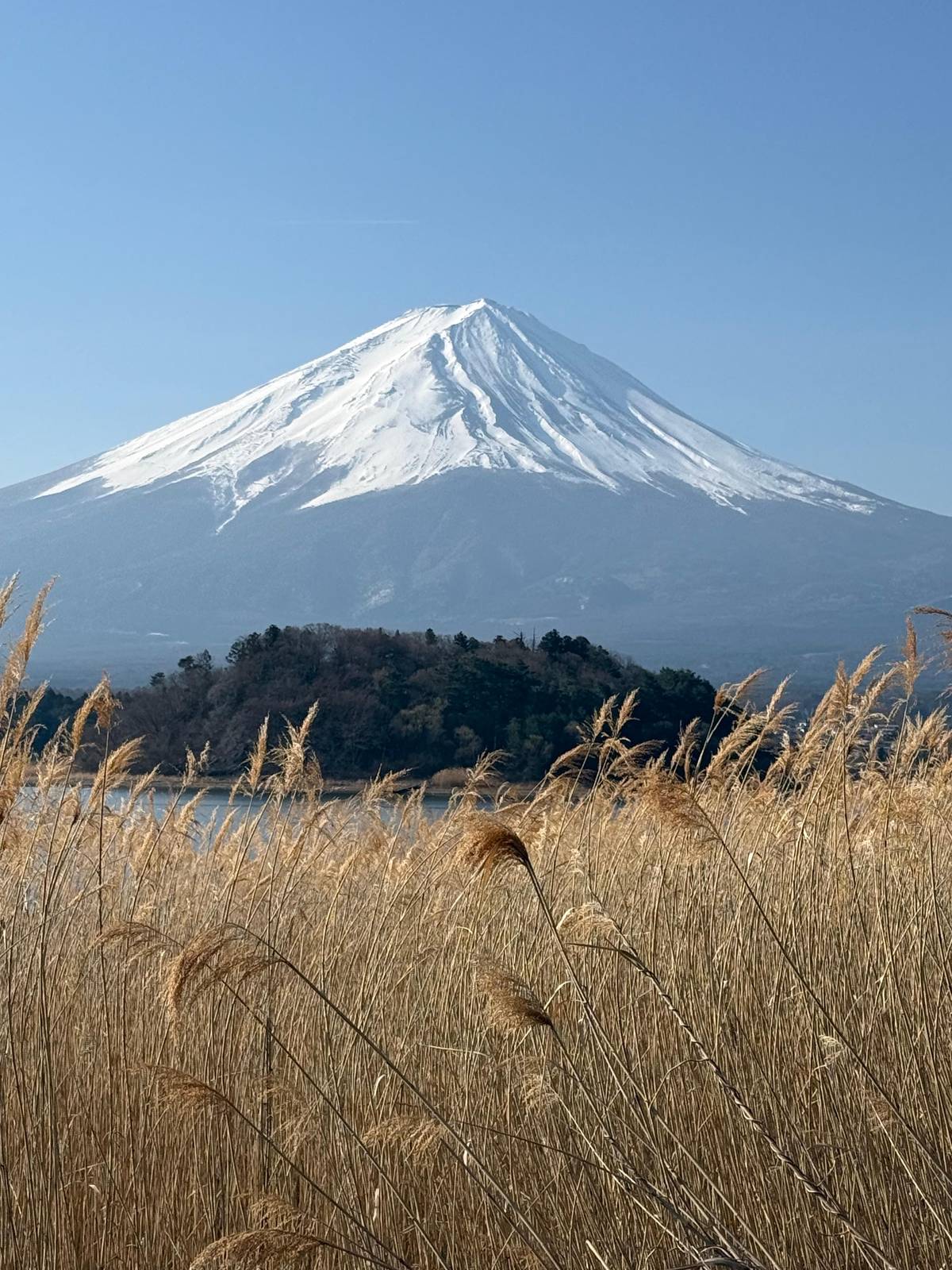 Tokyo: Mt. Fuji Full-Day Private Customizable Tour