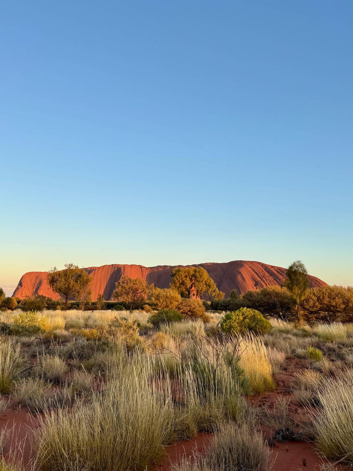 Uluru highlights small-group morning with picnic breakfast