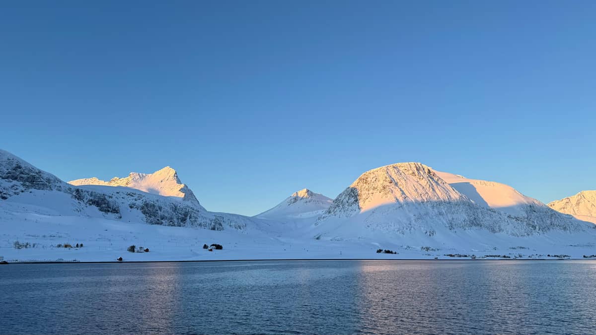 Wale bei Skjervøy: wo die Walsafari hinfährt