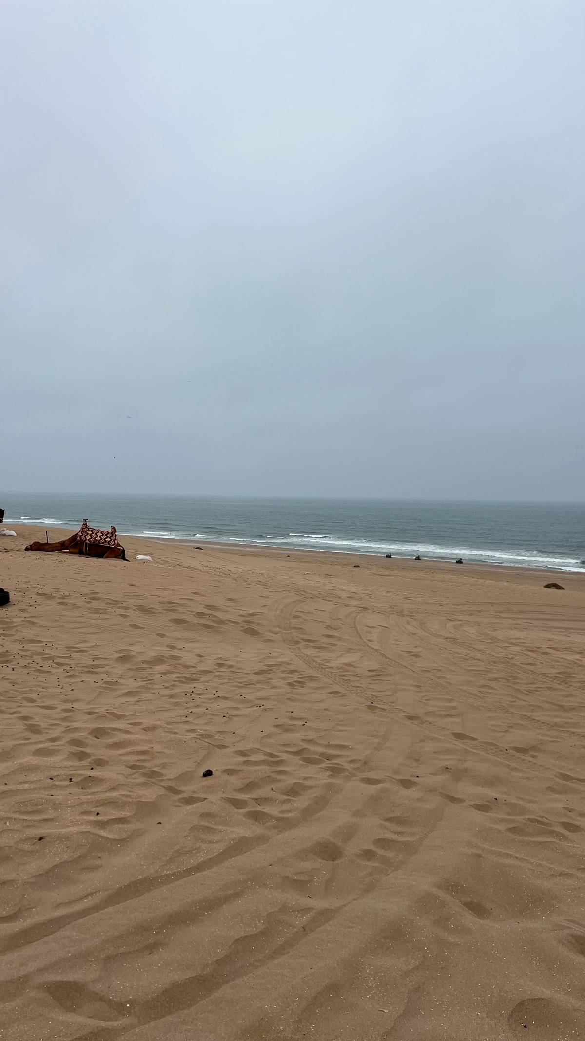 Agadir: Quad Biking and Sandboarding Tour Adventure