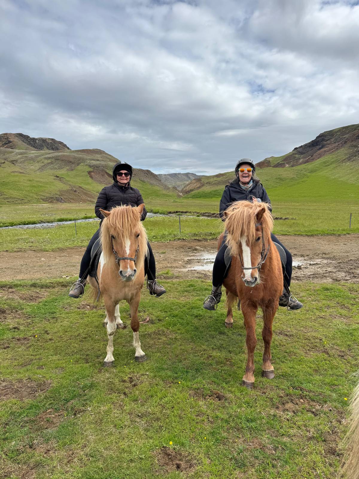 Hveragerði: Reykjadalur Hot Spring Valley Horse Riding Tour