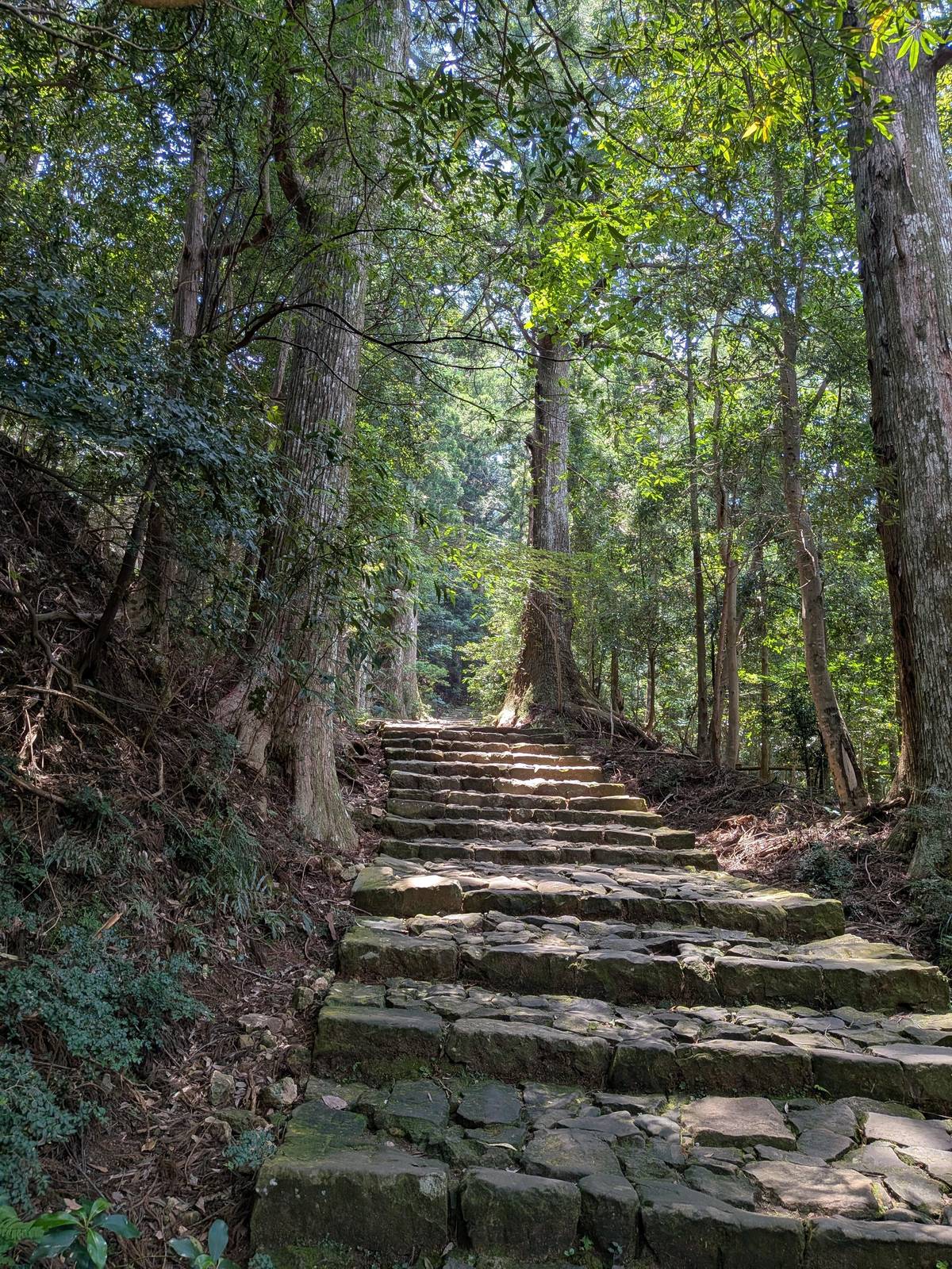 Day trip from Osaka to the three Grand Shrines