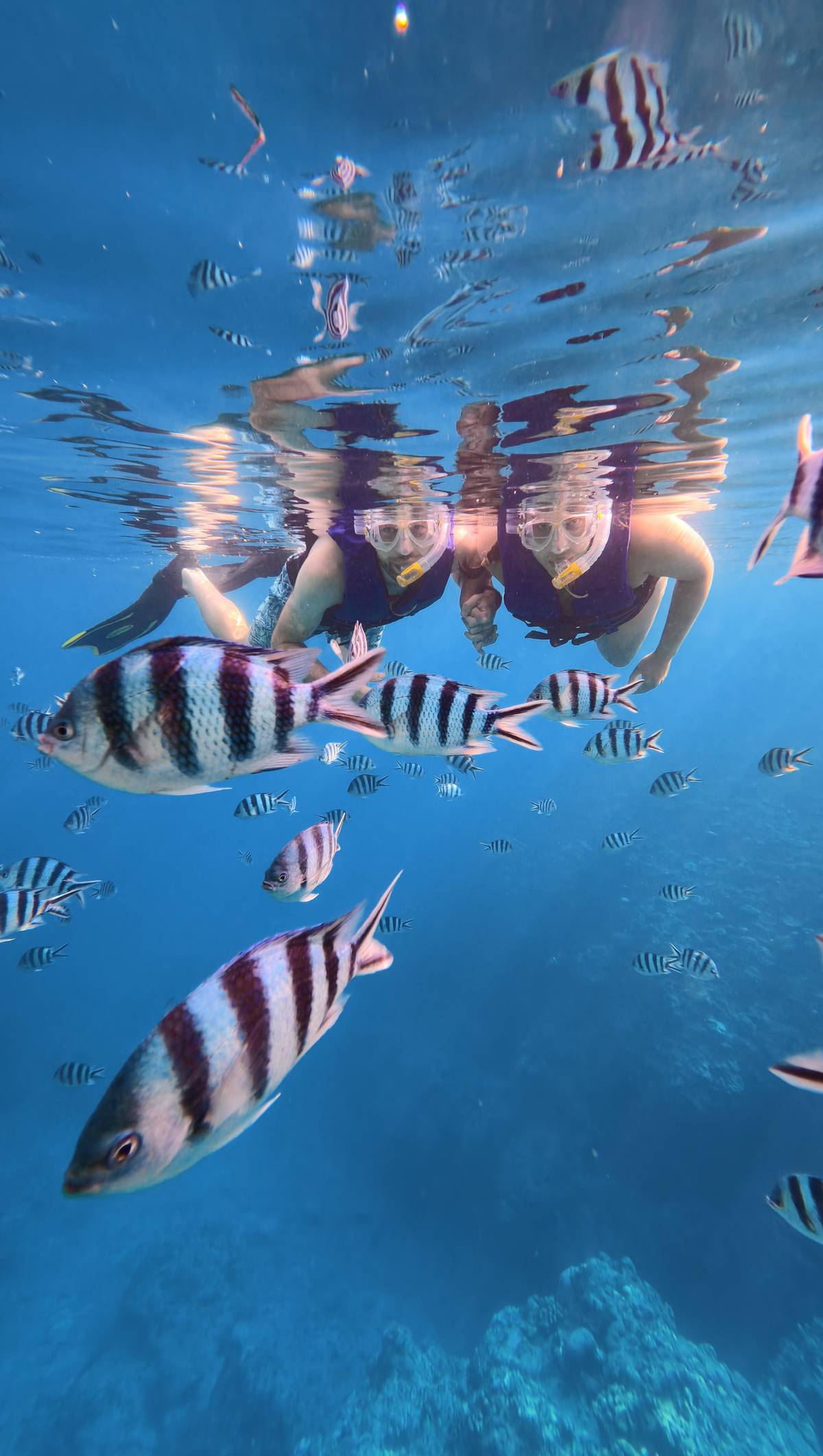 Sergeant majors around a snorkeler