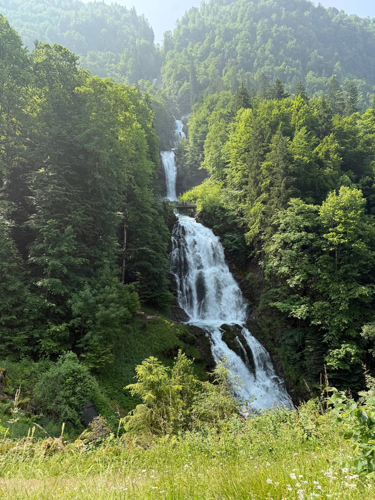 Interlaken: Boat Trip to Giessbach Falls & hike to Iseltwald