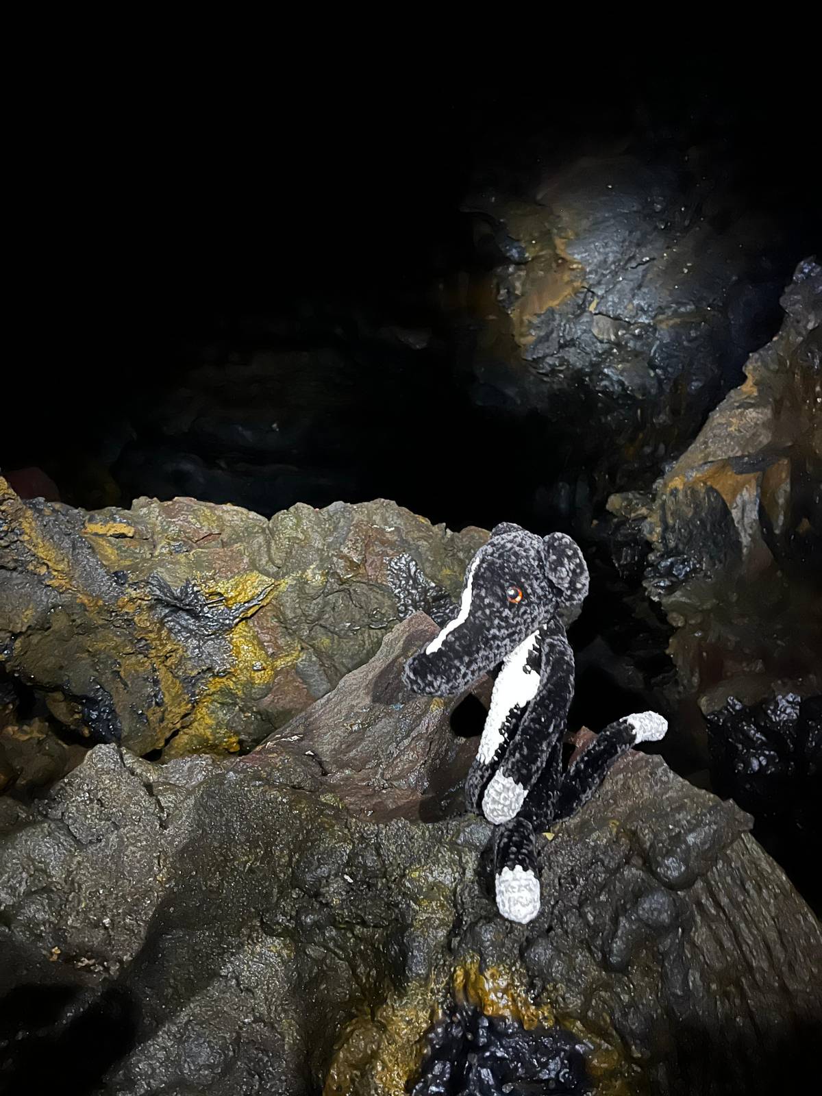 Raufarhólshellir: Lava Falls Adventure Tour