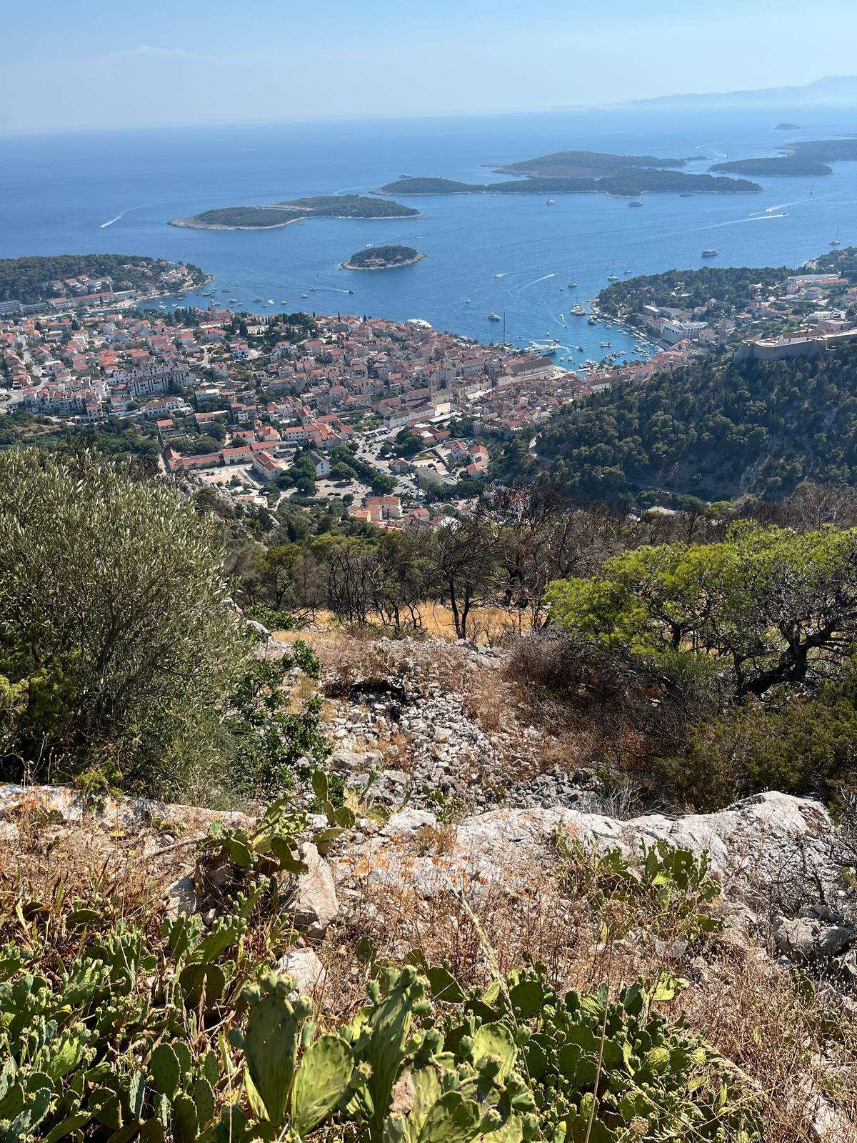 Hvar wine tasting