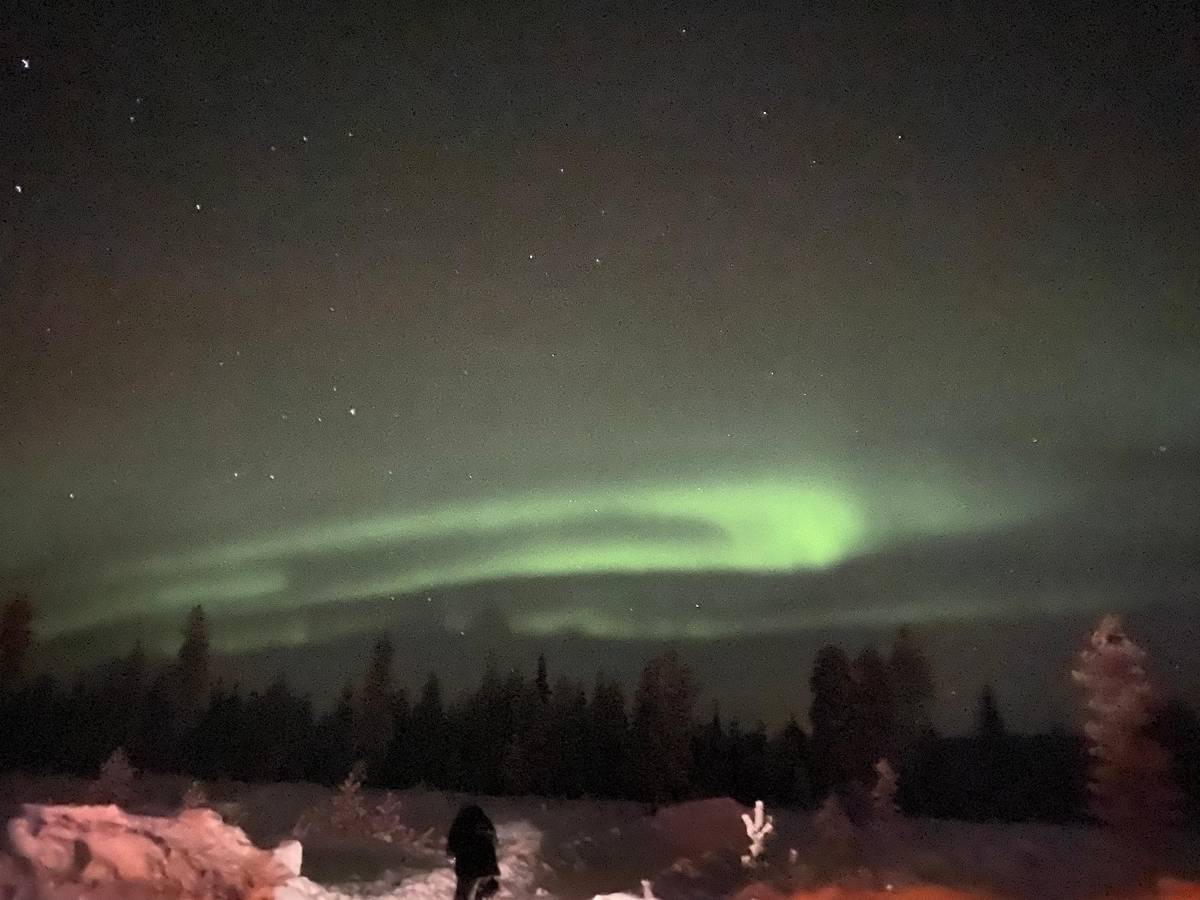 Rovaniemi: Northern Lights Photography Tour & BBQ