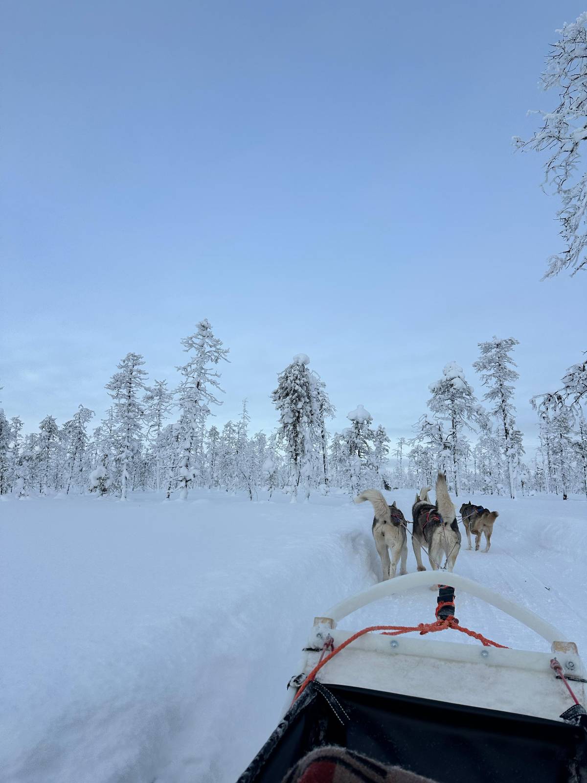 December, Polar night and holidays