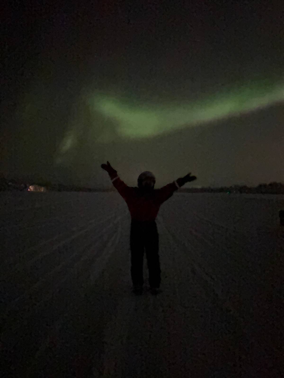 Rovaniemi: Northern Lights Sledge Ride