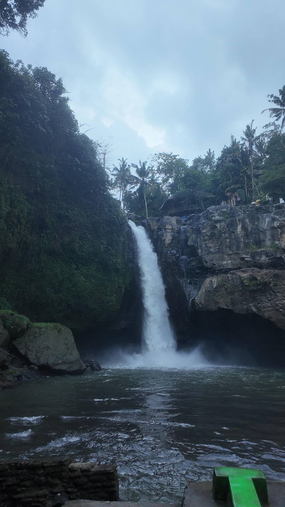 Ubud: Private Scenic Waterfalls and Rice Terraces Tour