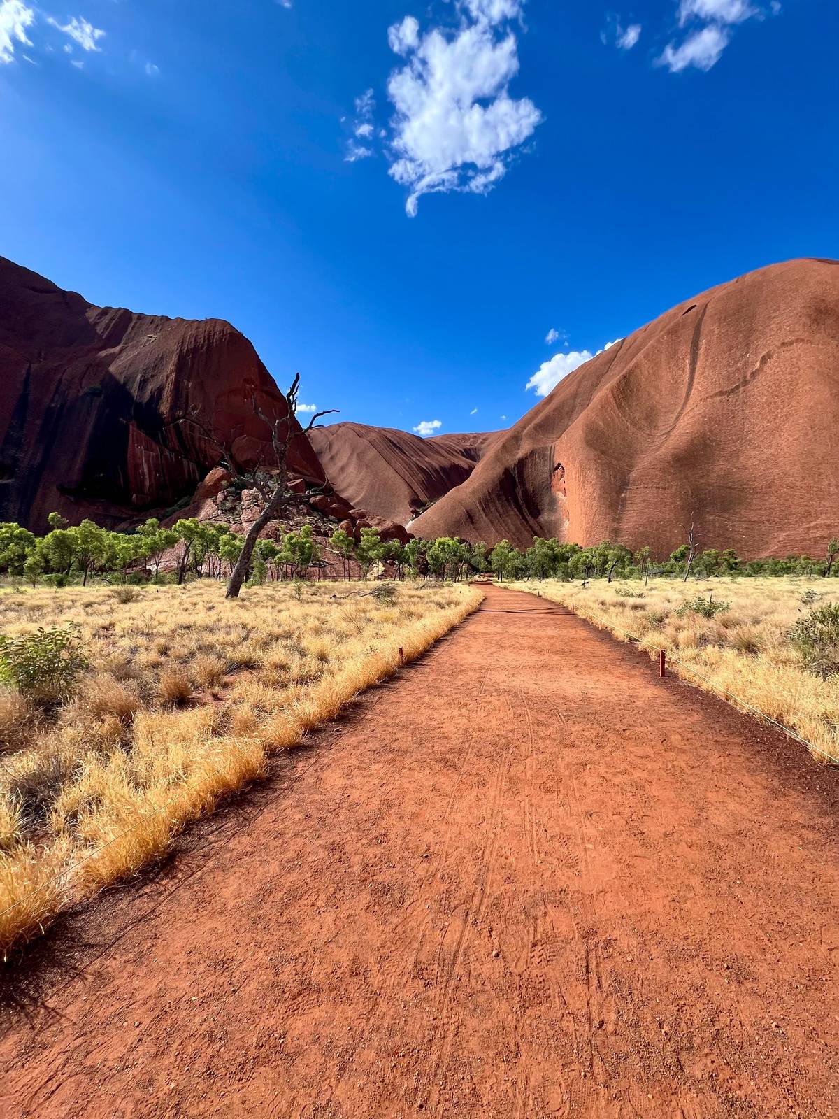 From Alice Springs or Yulara: 2 Day Uluru-Kata Tjuta Camping