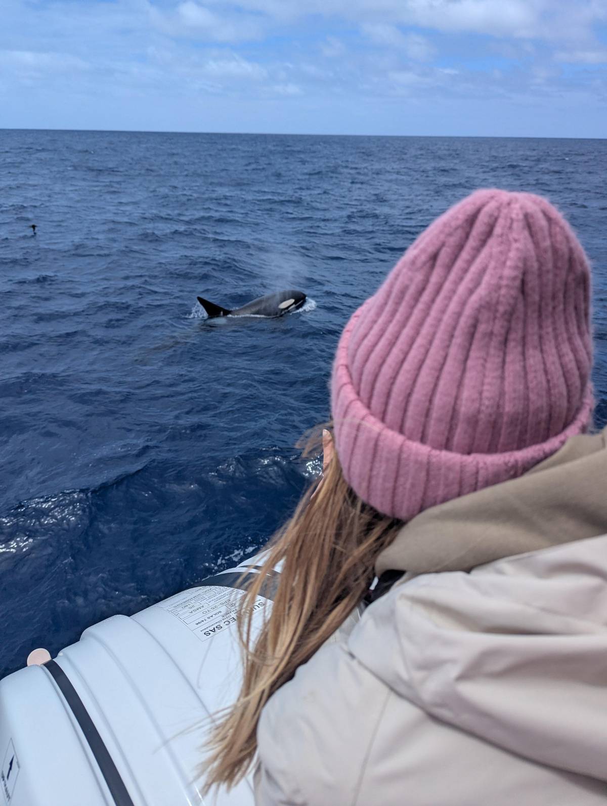 A guest in a woollen hat watching a fin from the bow