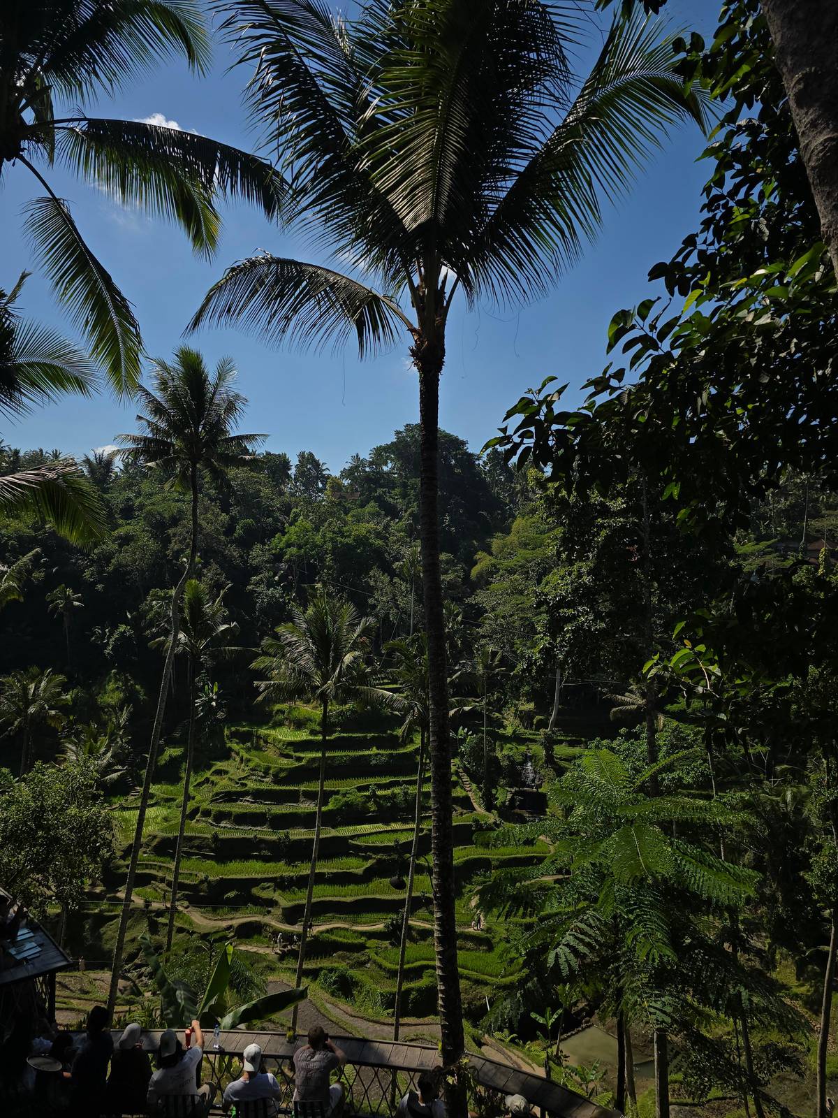 Ubud: Waterfall, Temple and Rice Terrace, Private or Group Tour