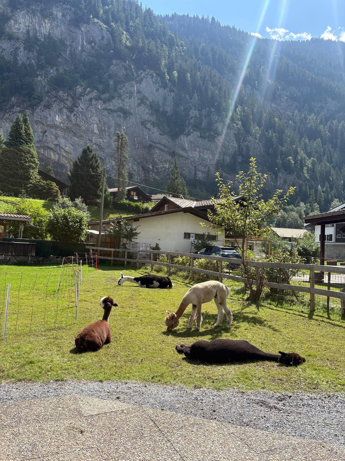 Discover Lauterbrunnen with Cheese & Chocolate Tasting Tour