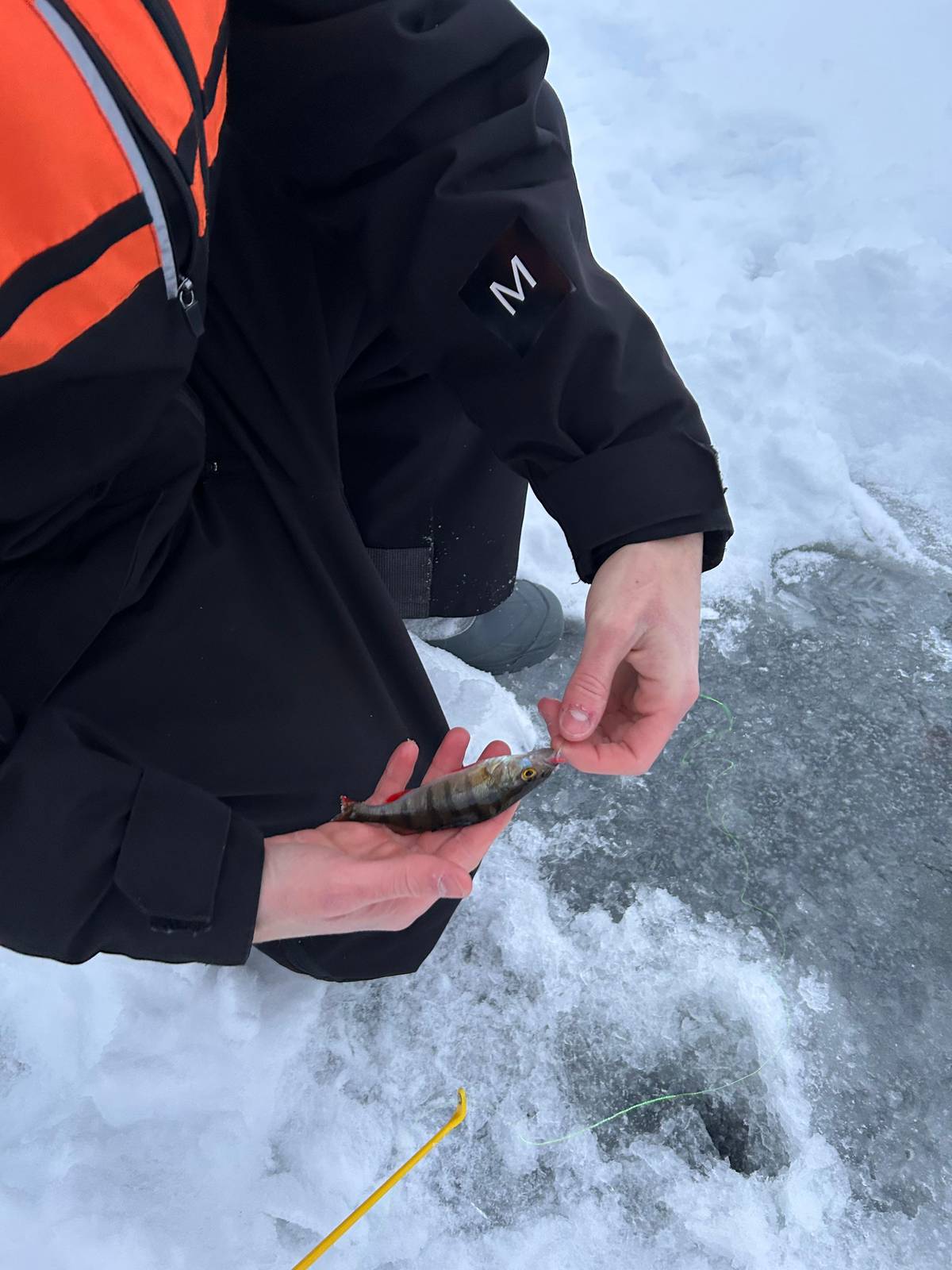 Levi: Finnish Ice Fishing Tour by Car