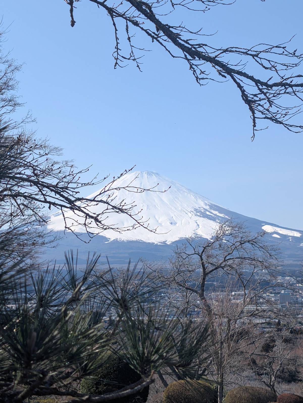 Tokyo: Mt. Fuji Cruise and Hakone Ropeway Day Trip by Bus
