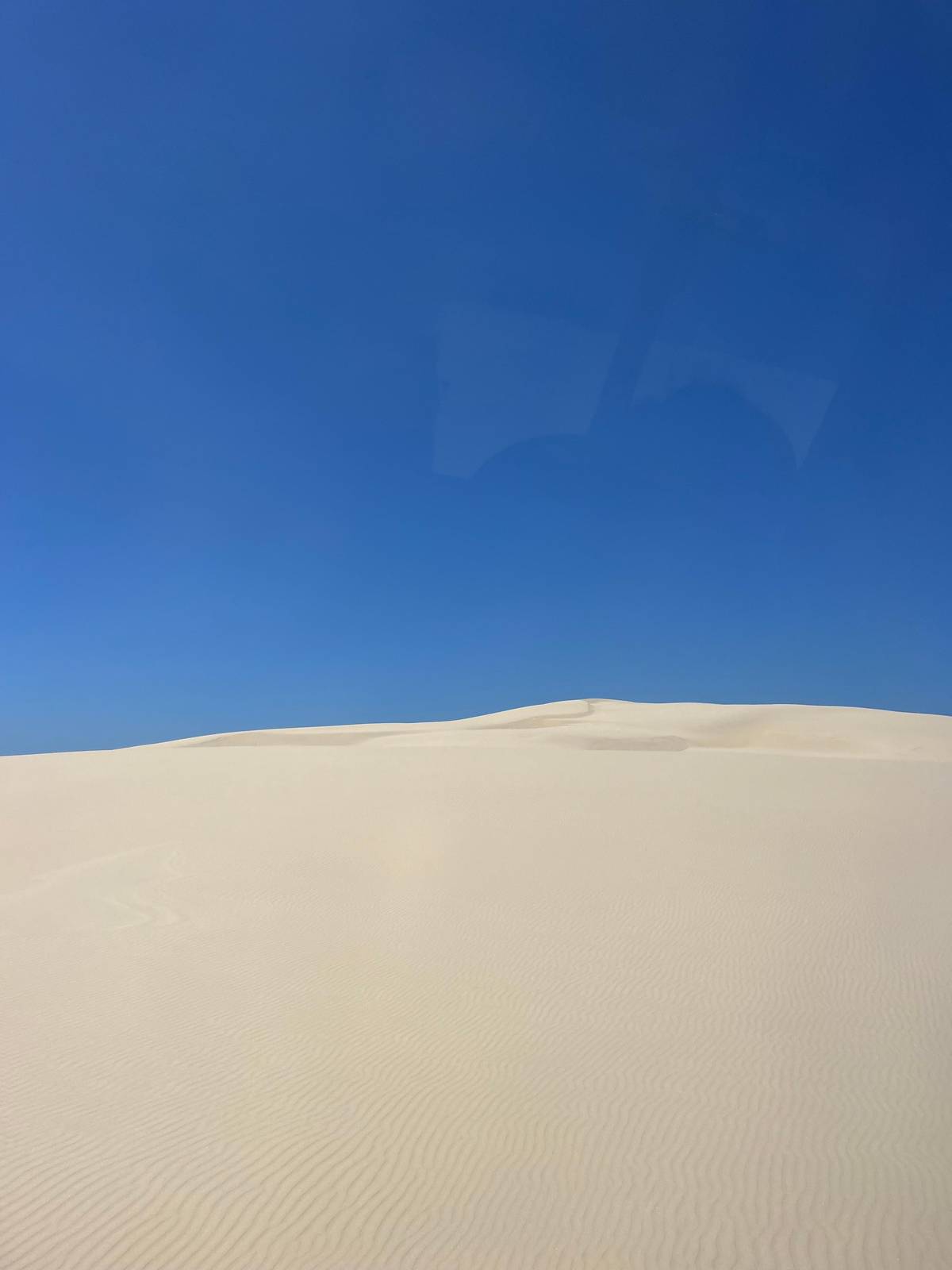 Port Stephens unlimited sandboarding and 4WD dune tour