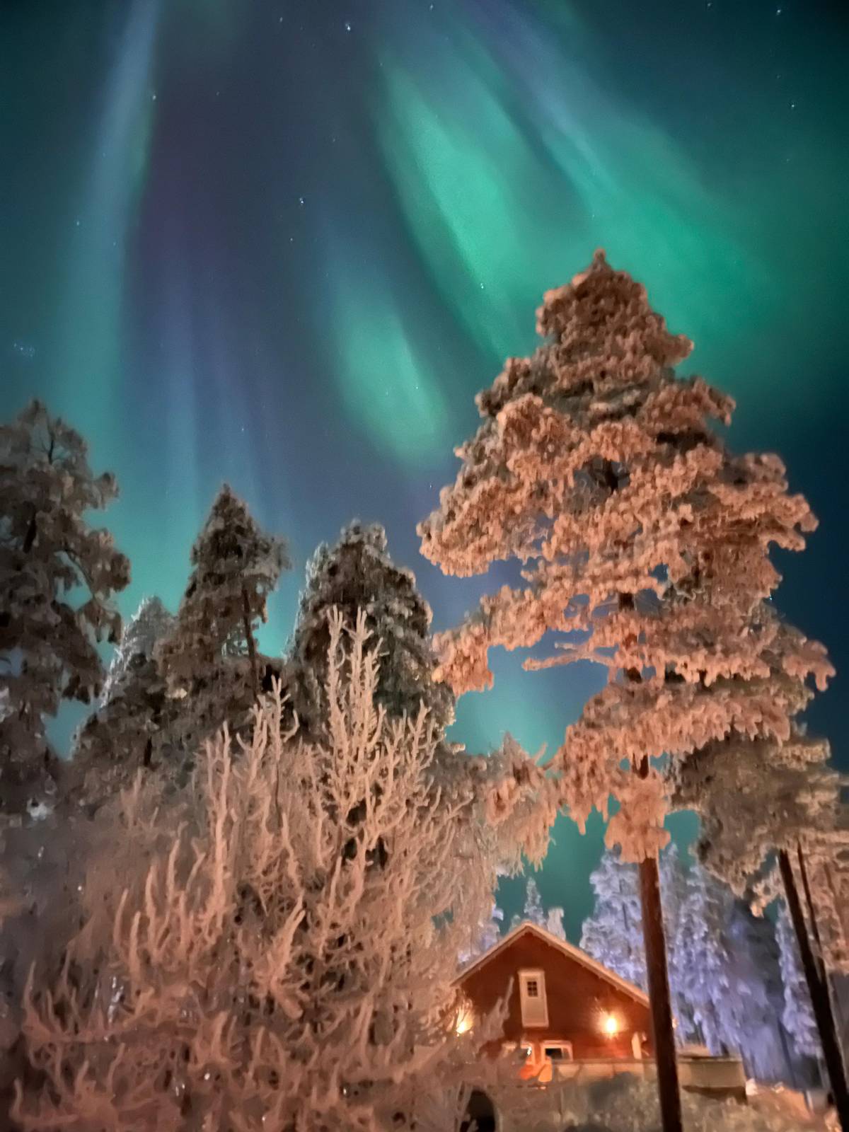 Rovaniemi: Ice Floating in Forest Lake with Aurora Borealis