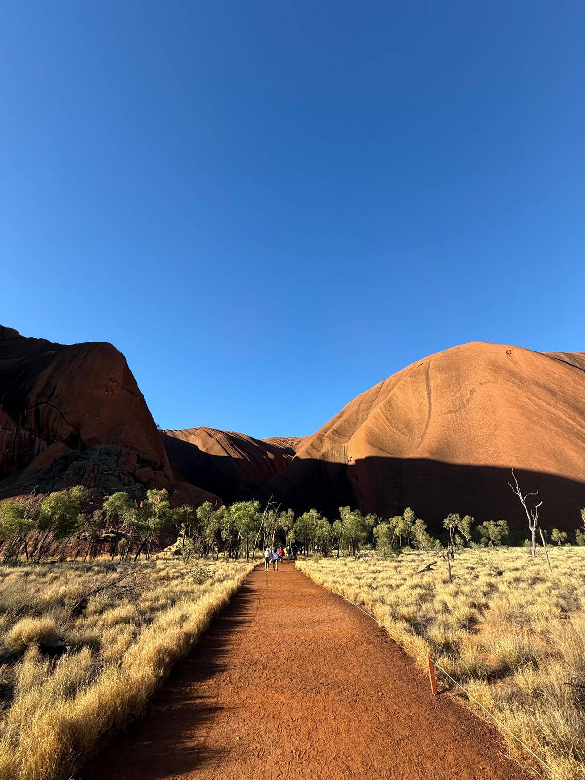 A red earth path across golden grass towards the rock