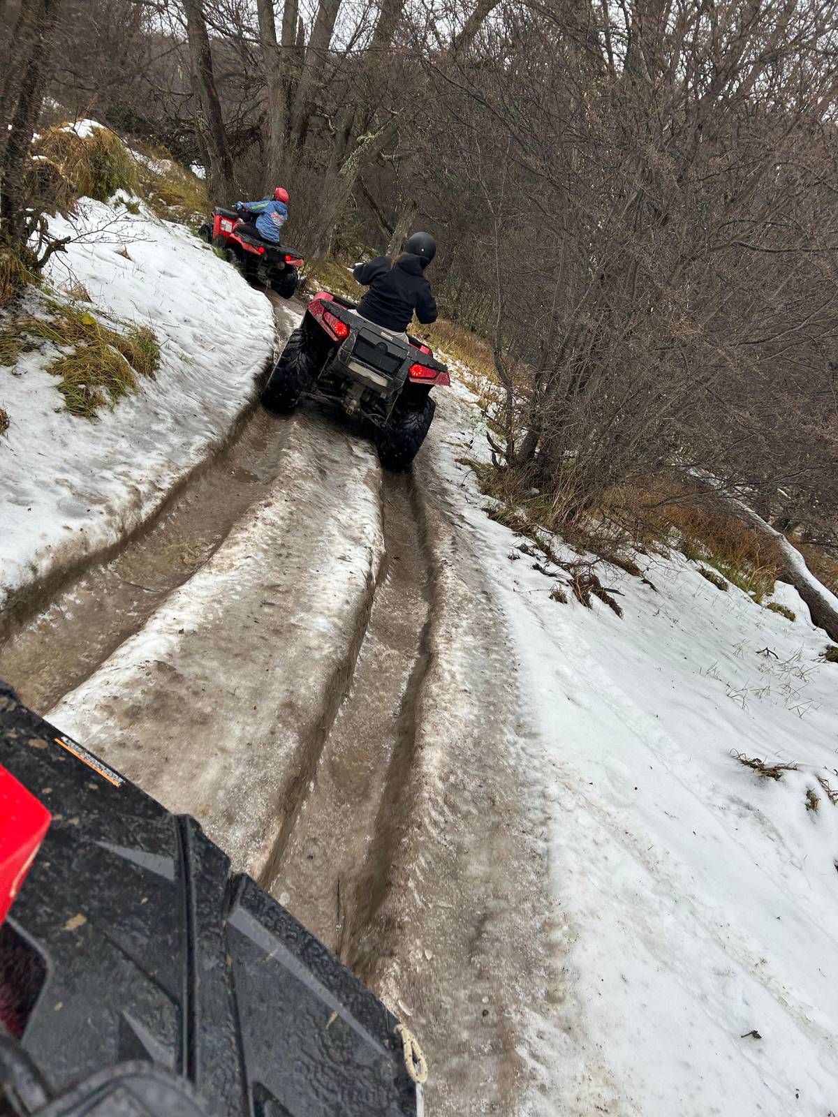 Ushuaia: Full-Day Off-Road 4x4 Tour with Huskies, ATV, Beaver Dam and Lunch