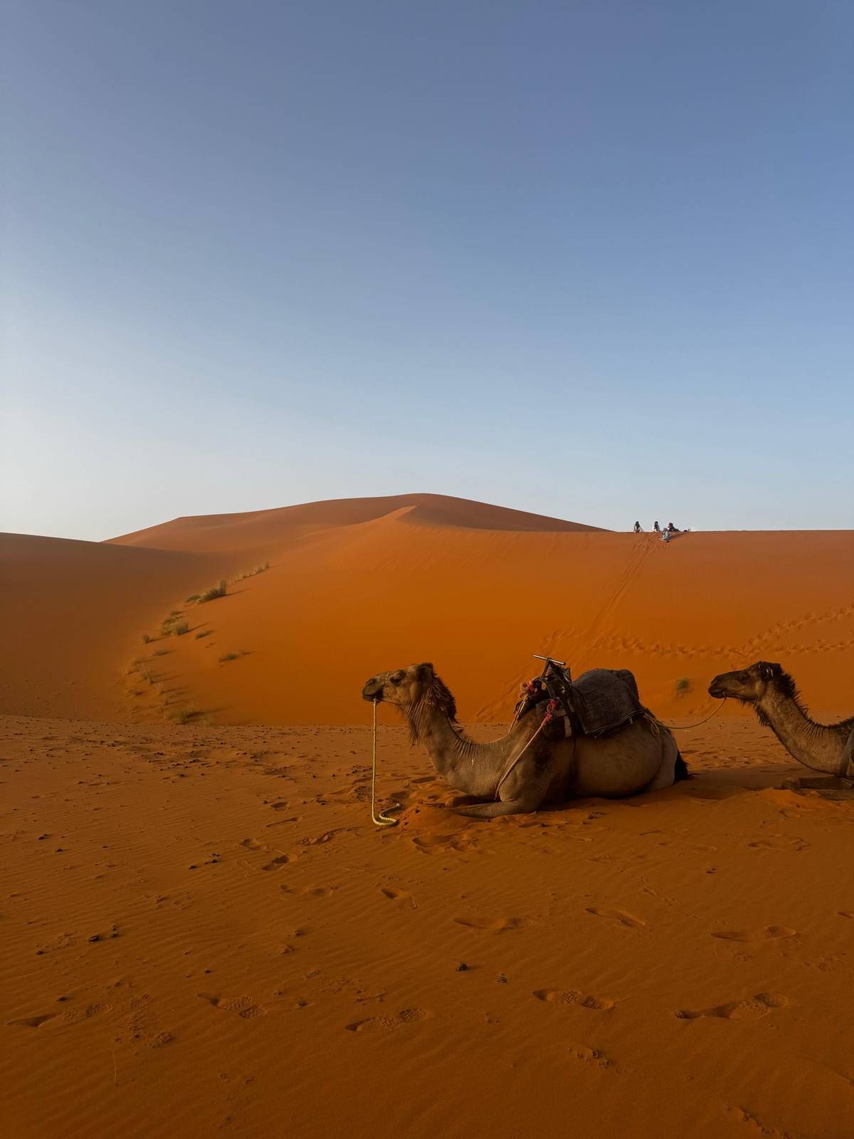 From Marrakech: Unforgettable 3-Day Desert Tour to Fes