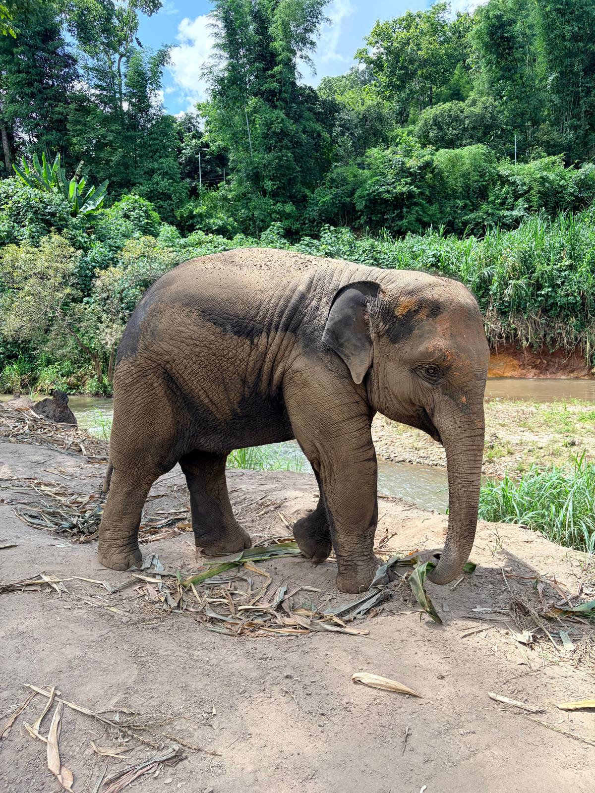 Under human care, Registered captive animals