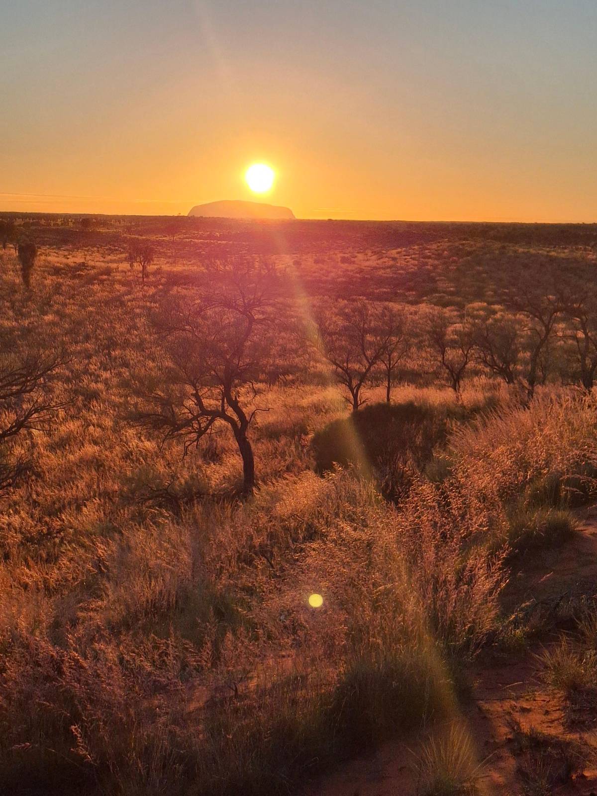 Kata Tjuta small-group sunrise with picnic breakfast