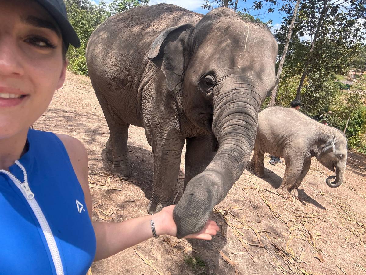 Chiang Mai: Elephant Sanctuary & Thai Cooking Workshop