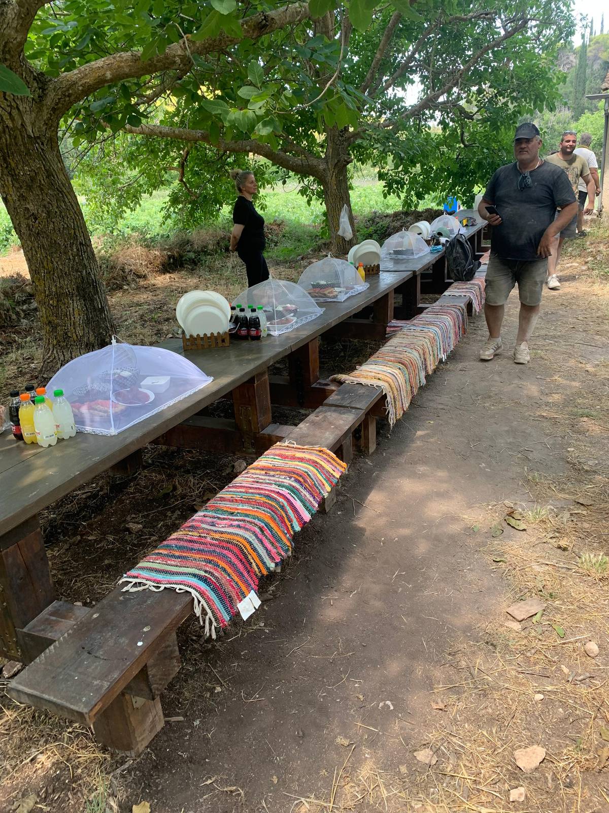The long lunch table under the trees