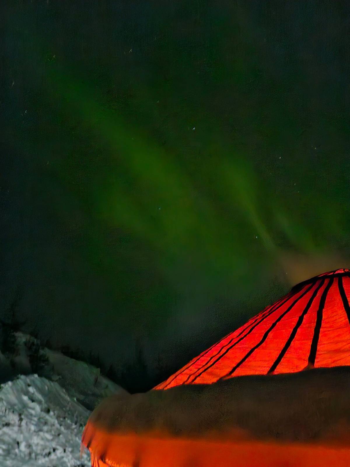 From Rovaniemi: Family-Friendly Northern Lights Tour
