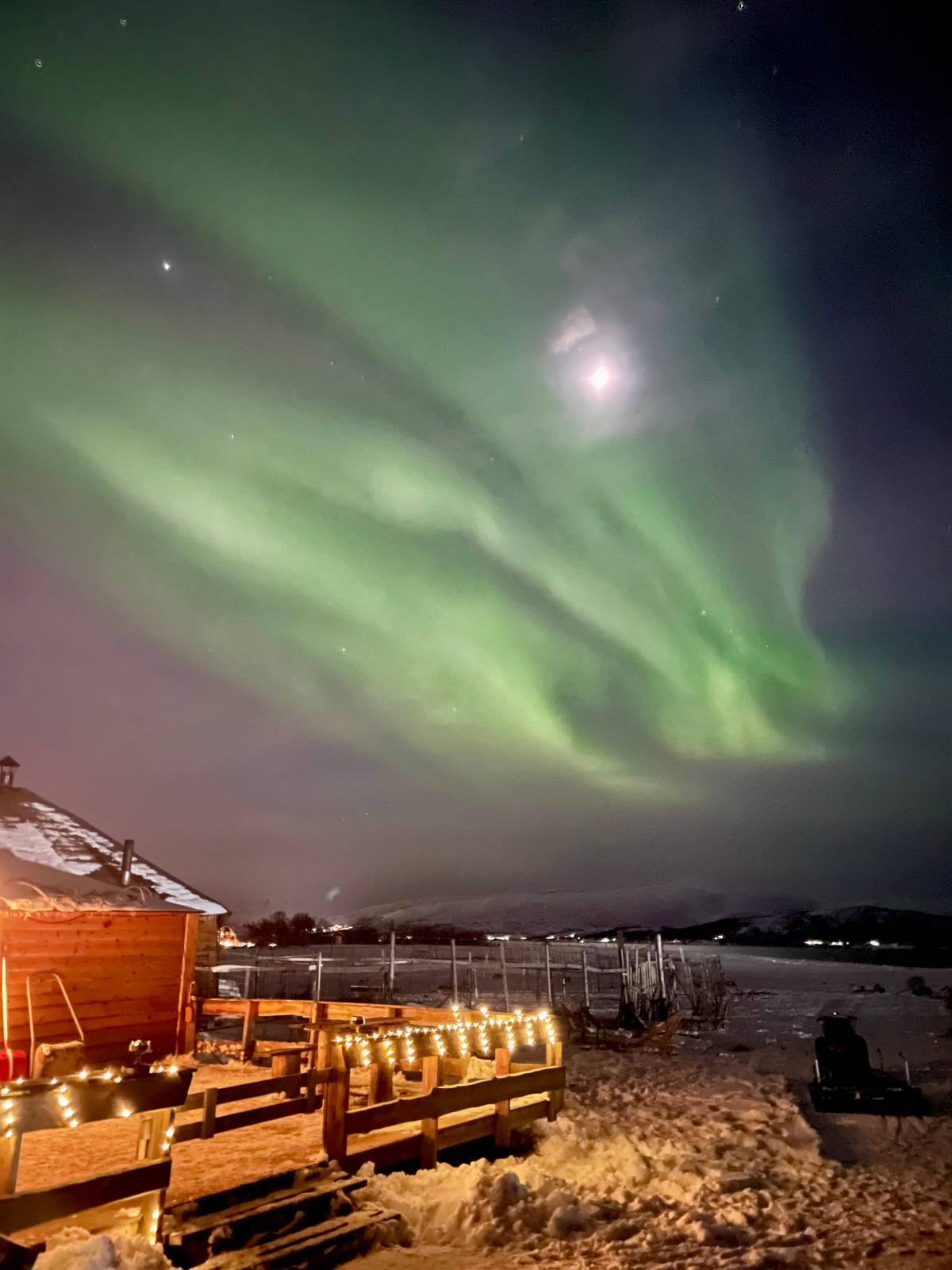 Tromsø: Reindeer Sled, Dinner, and Chance of Northern Lights