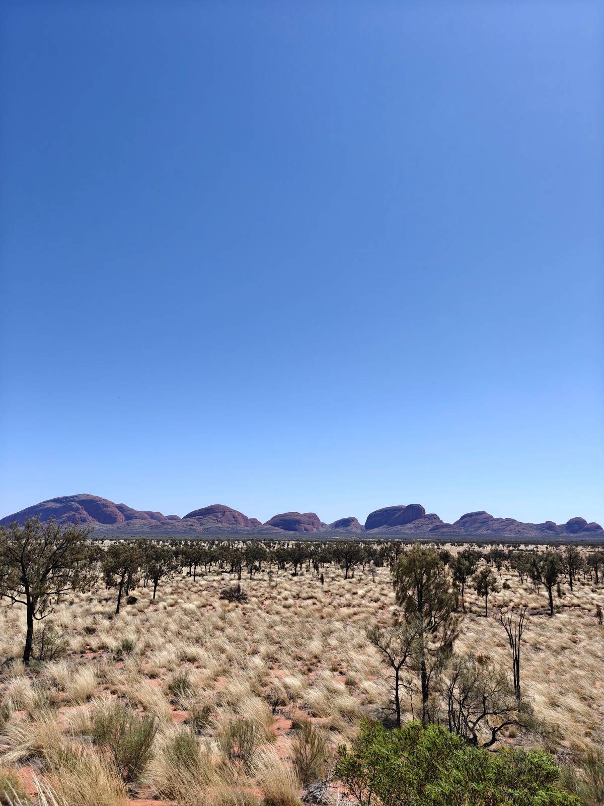 Kata Tjuta: Valley of the Winds Circuit Hike