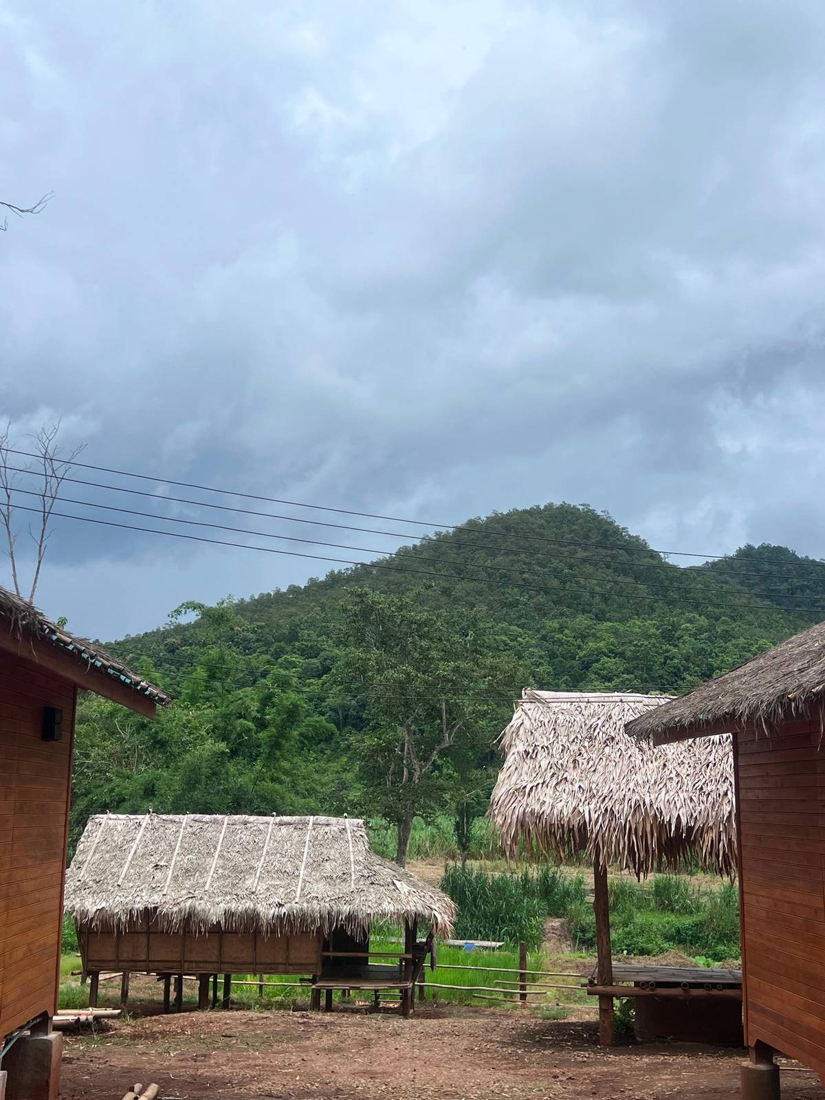 Thatched huts at the camp with green hills behind