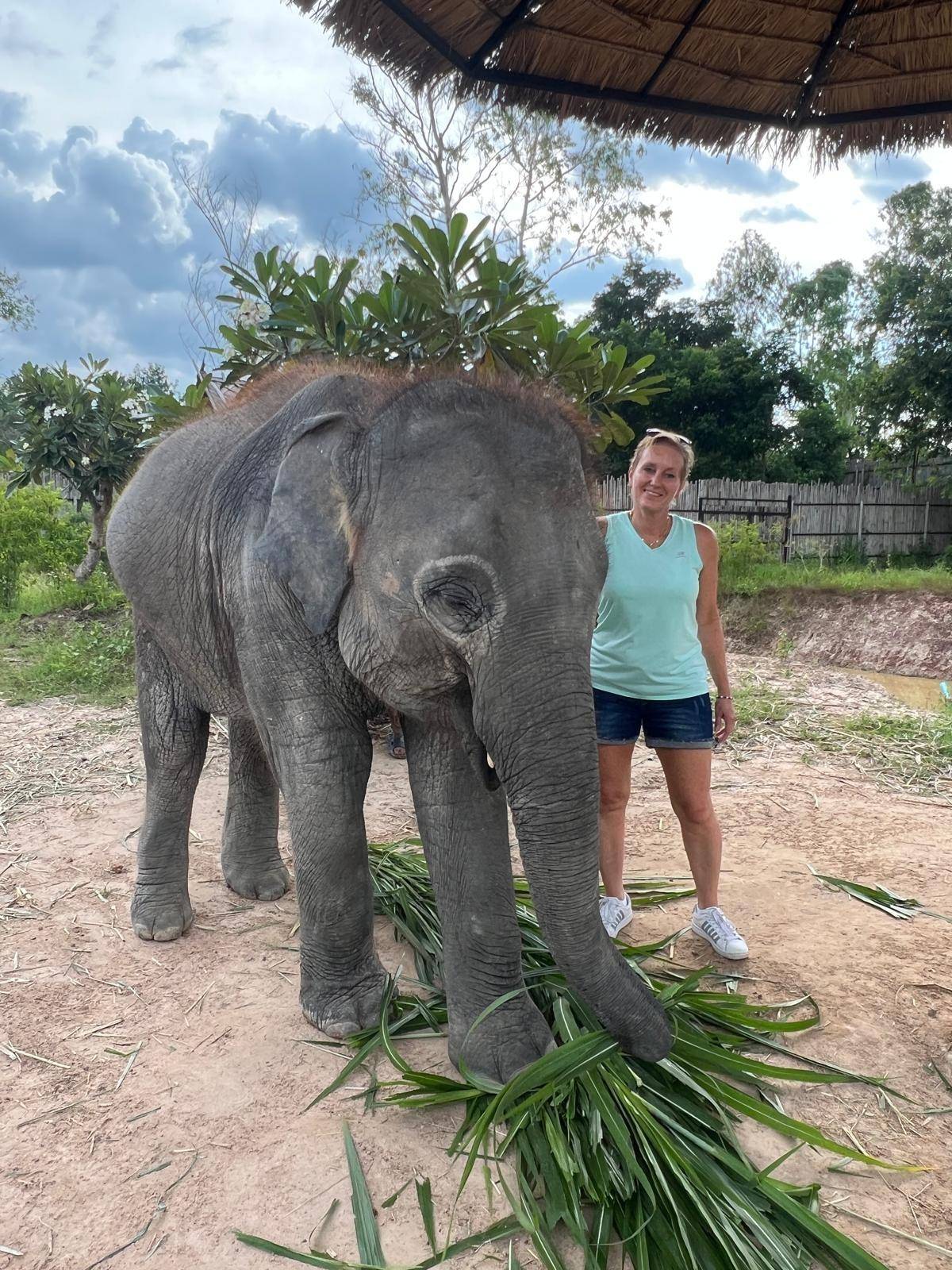 Chiang Mai: Ethical Elephant Encounter Feeding Program