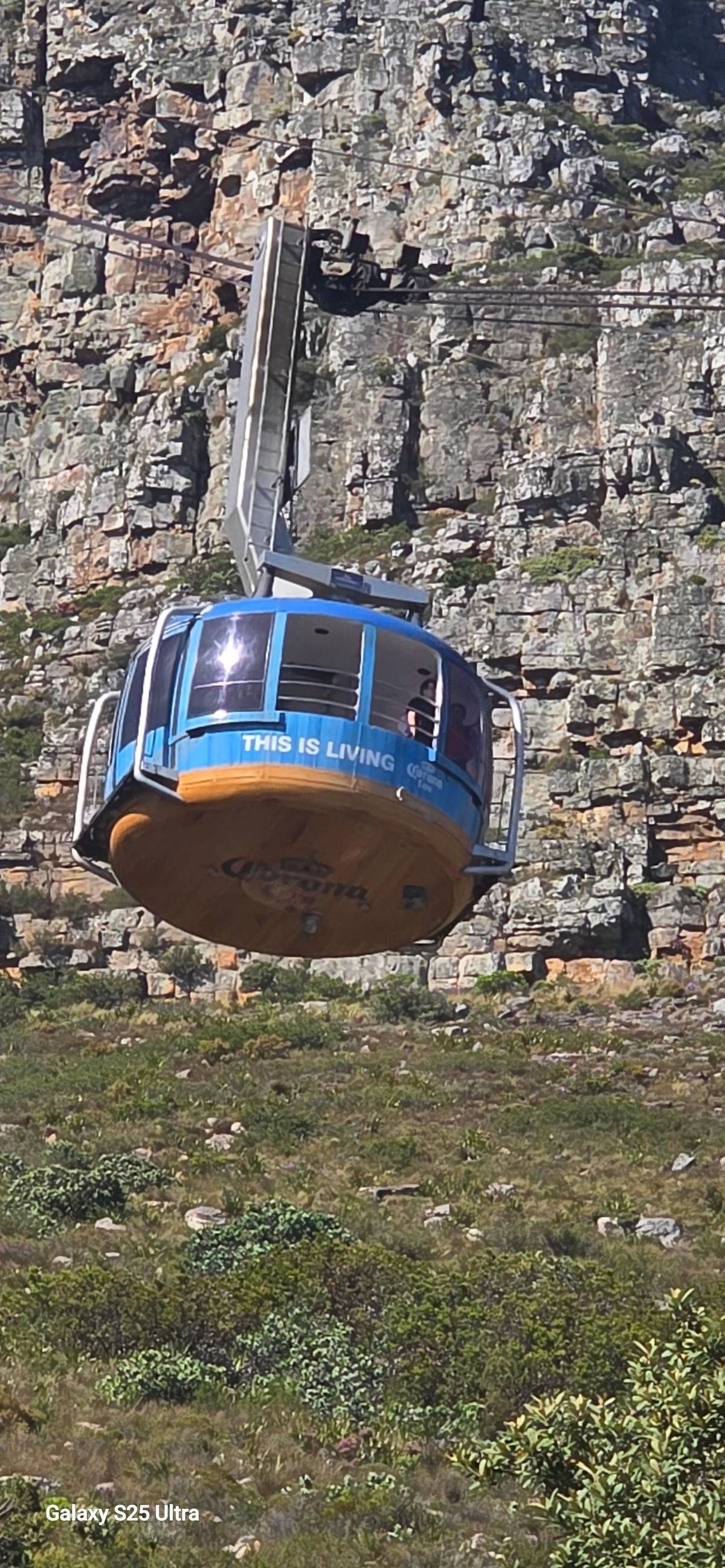 Cape Town: Premium Attractions City Pass with Bus Tour