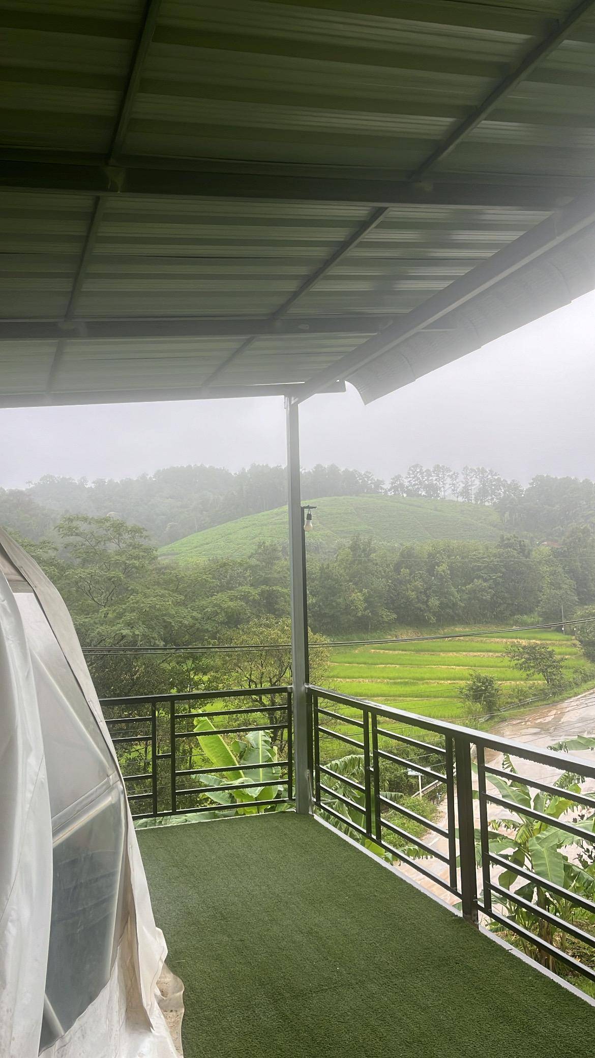 Chiangmai Overnight Trip with Ethical Elephant Santuary