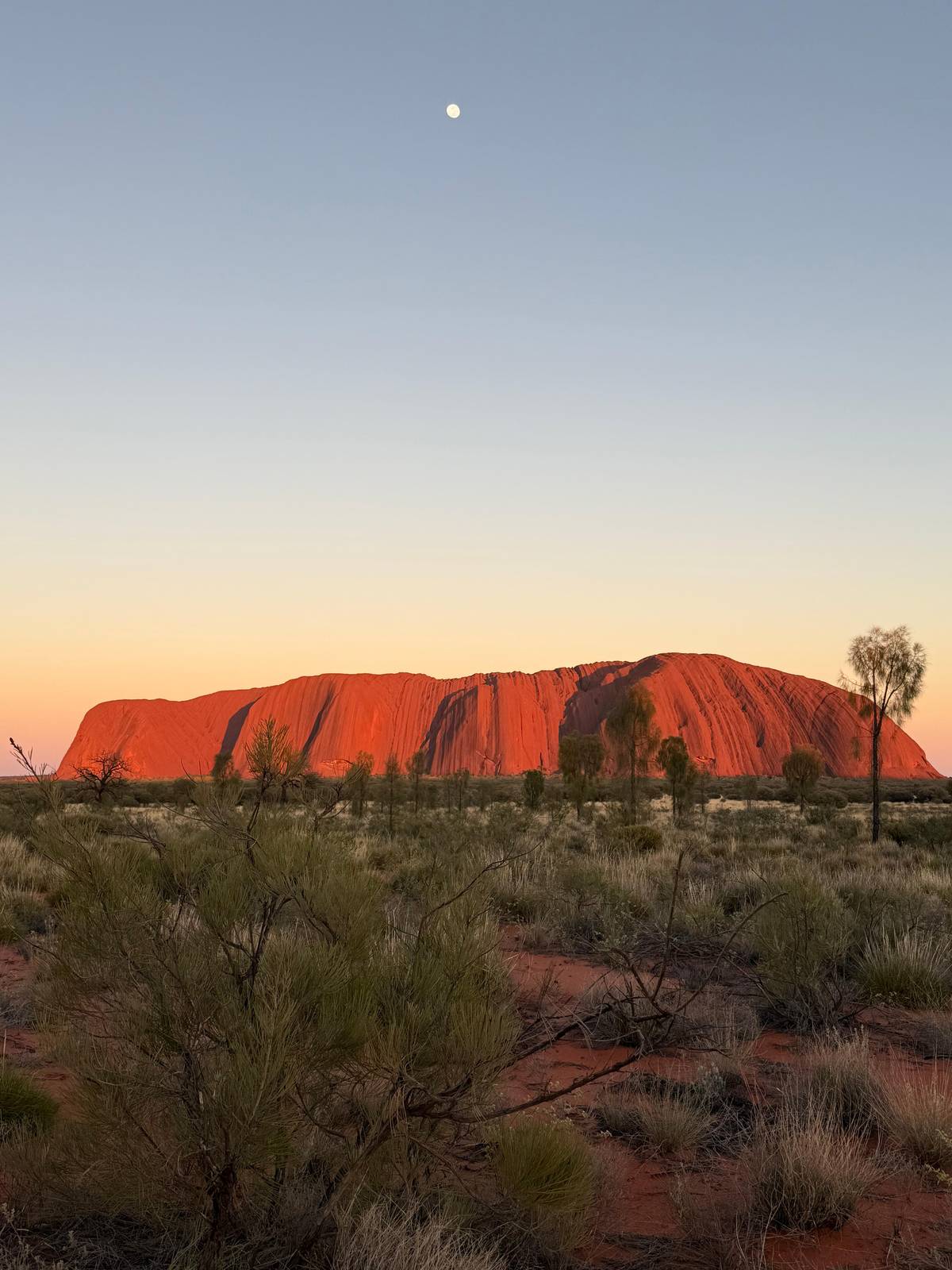 Uluru lit orange in the early morning