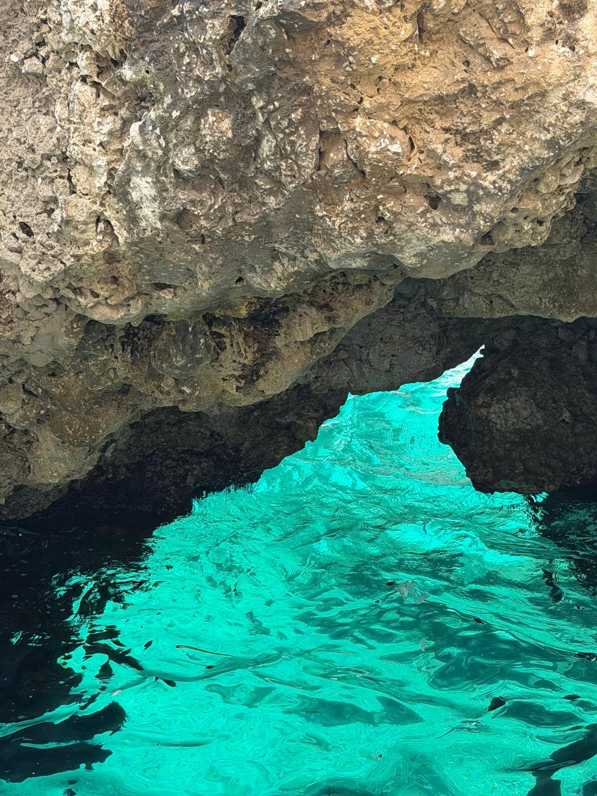 From Naples: Capri, Anacapri, and Blue Grotto Full-Day Trip
