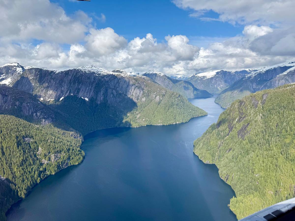 Fjords and forest from the air near Ketchikan