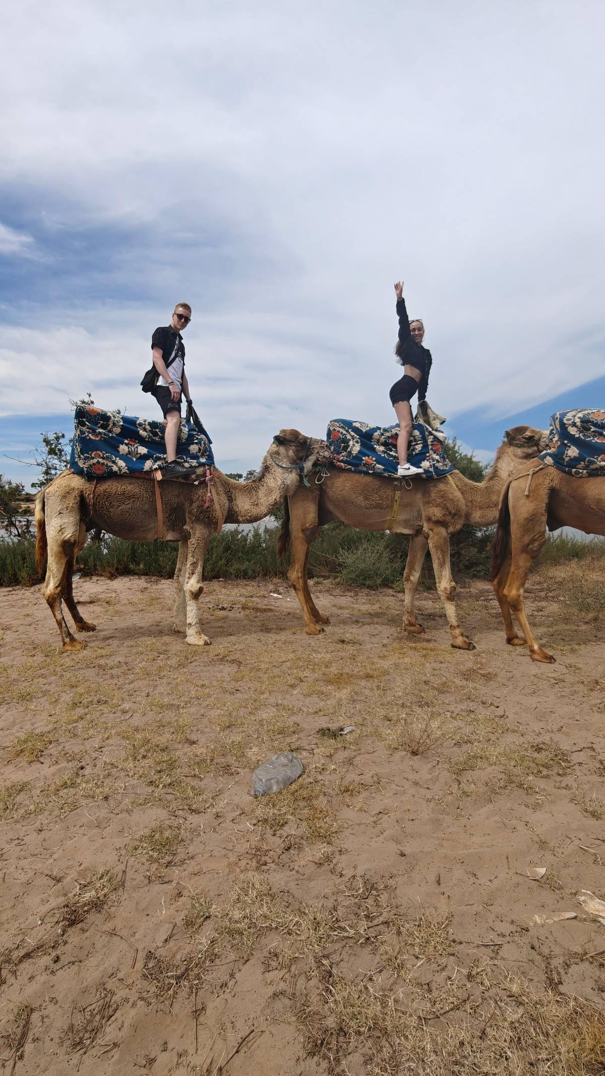 Agadir: Camel Ride Tour with Tea and Transfers