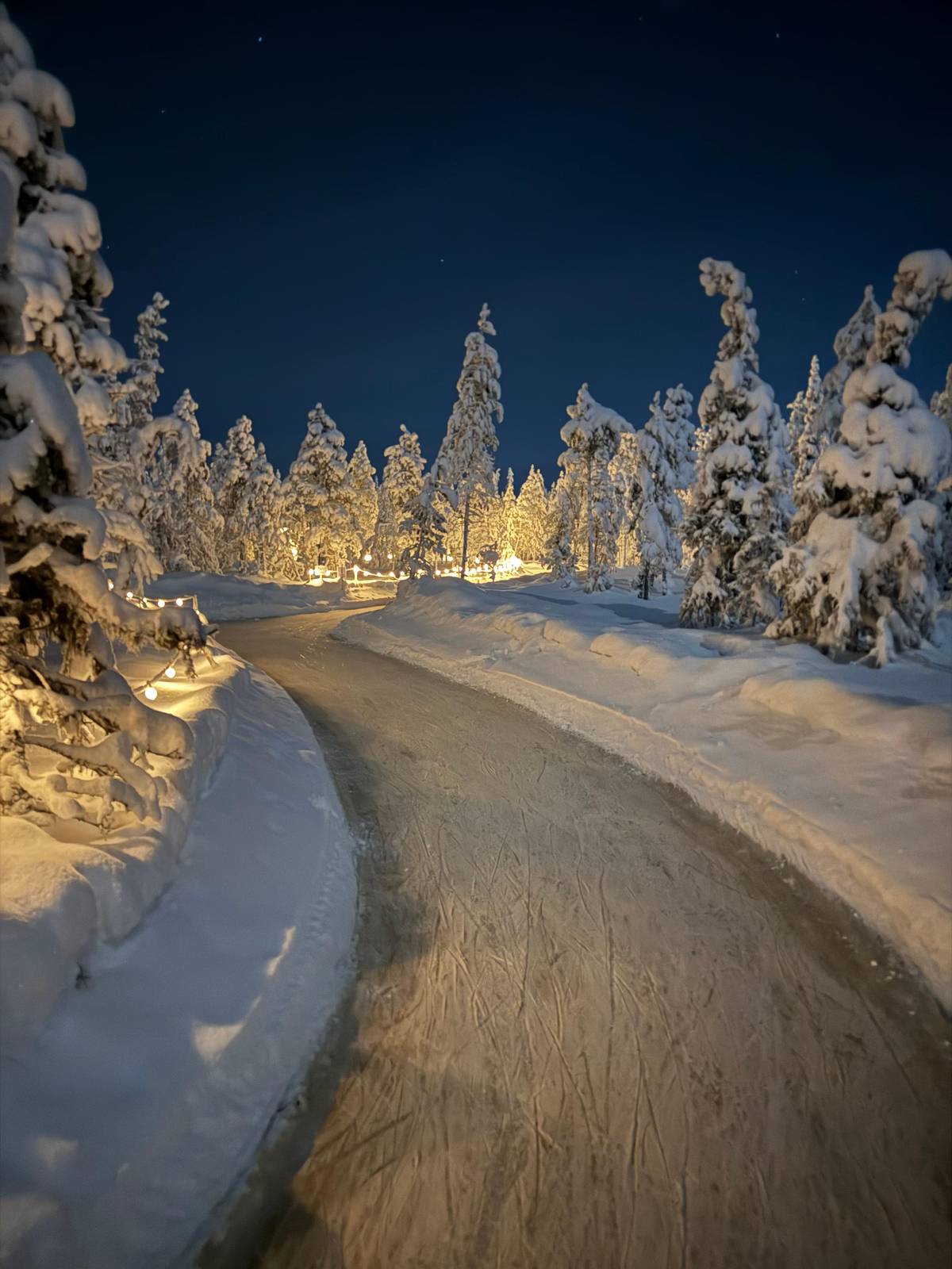 The ice trail curving between snow-laden pines under string lights at dusk