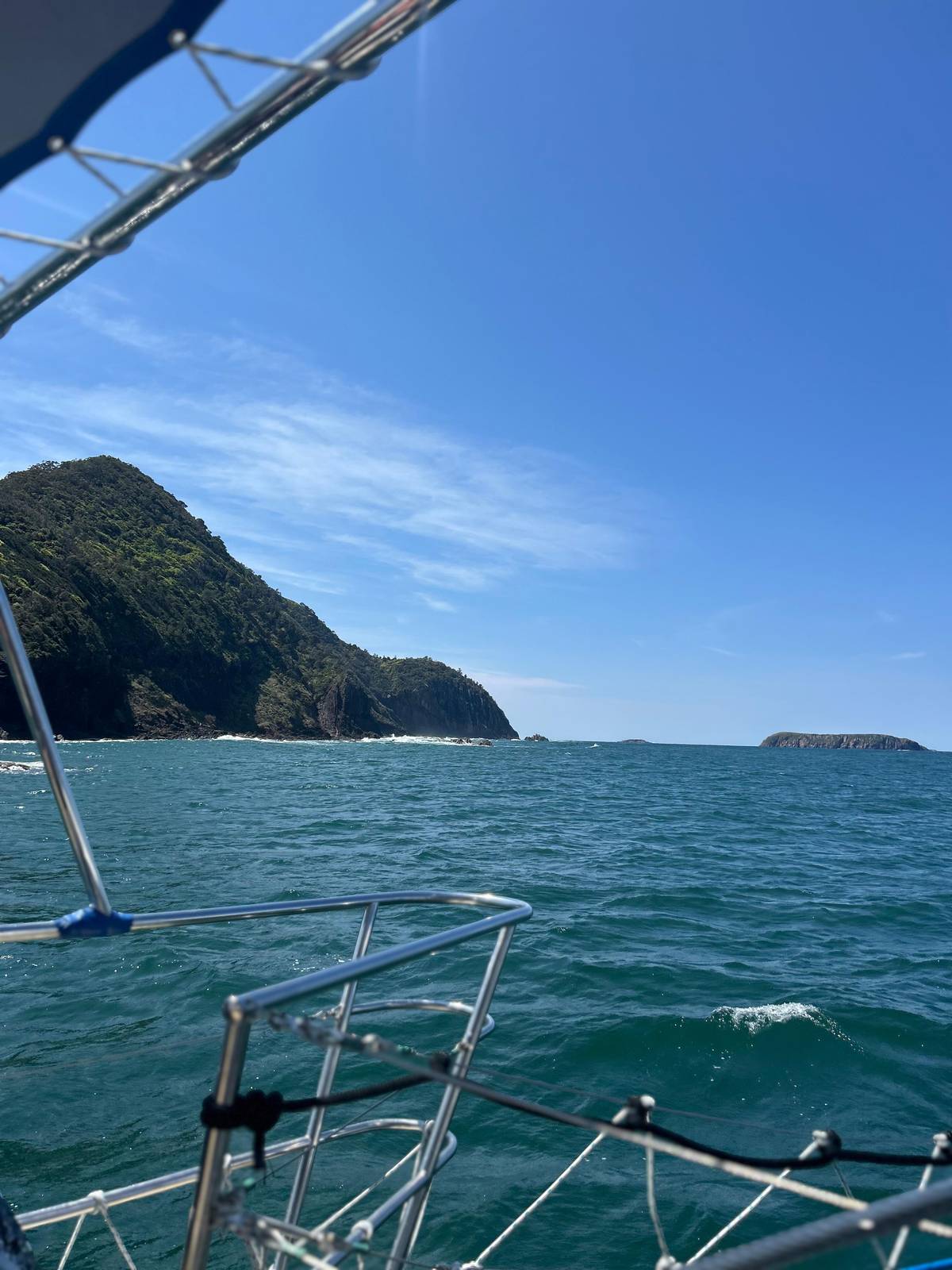 Nelson Bay whale and dolphin watching catamaran cruise