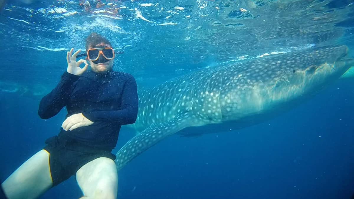 Cebu: Oslob Whale Sharks Swimming & Kawasan Canyoneering