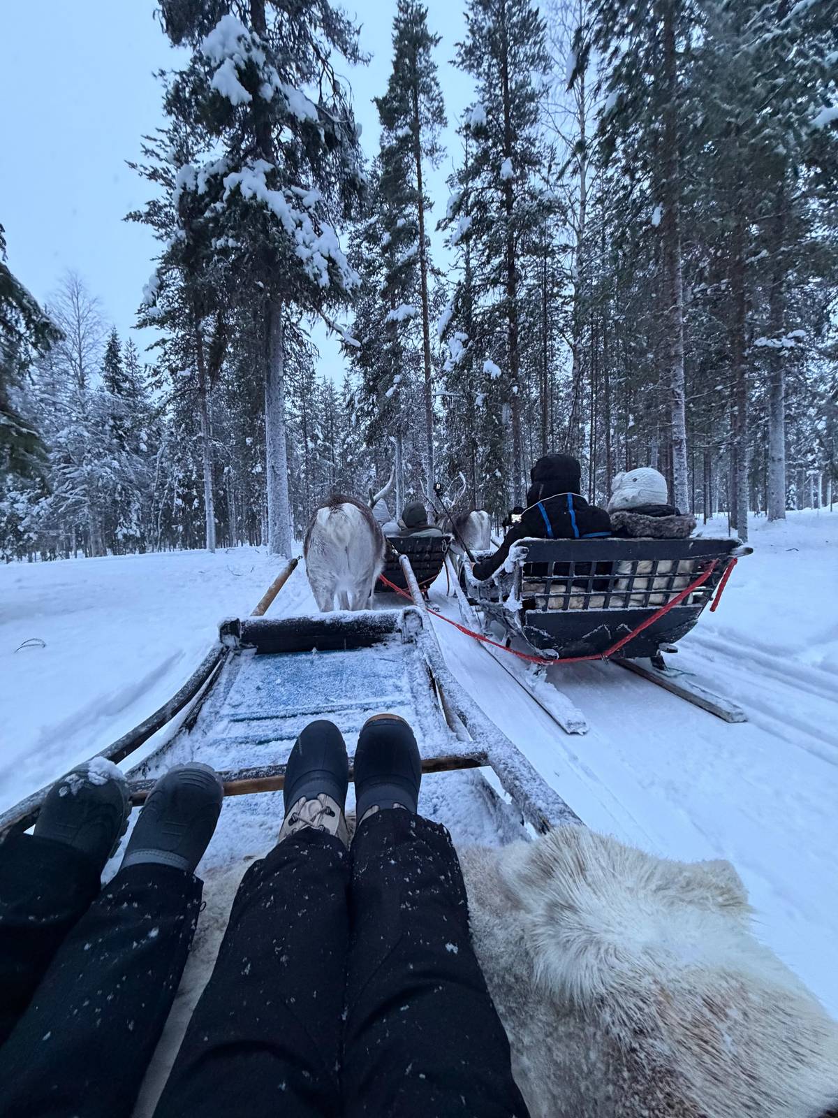 Riding in a sleigh behind another sleigh through the forest