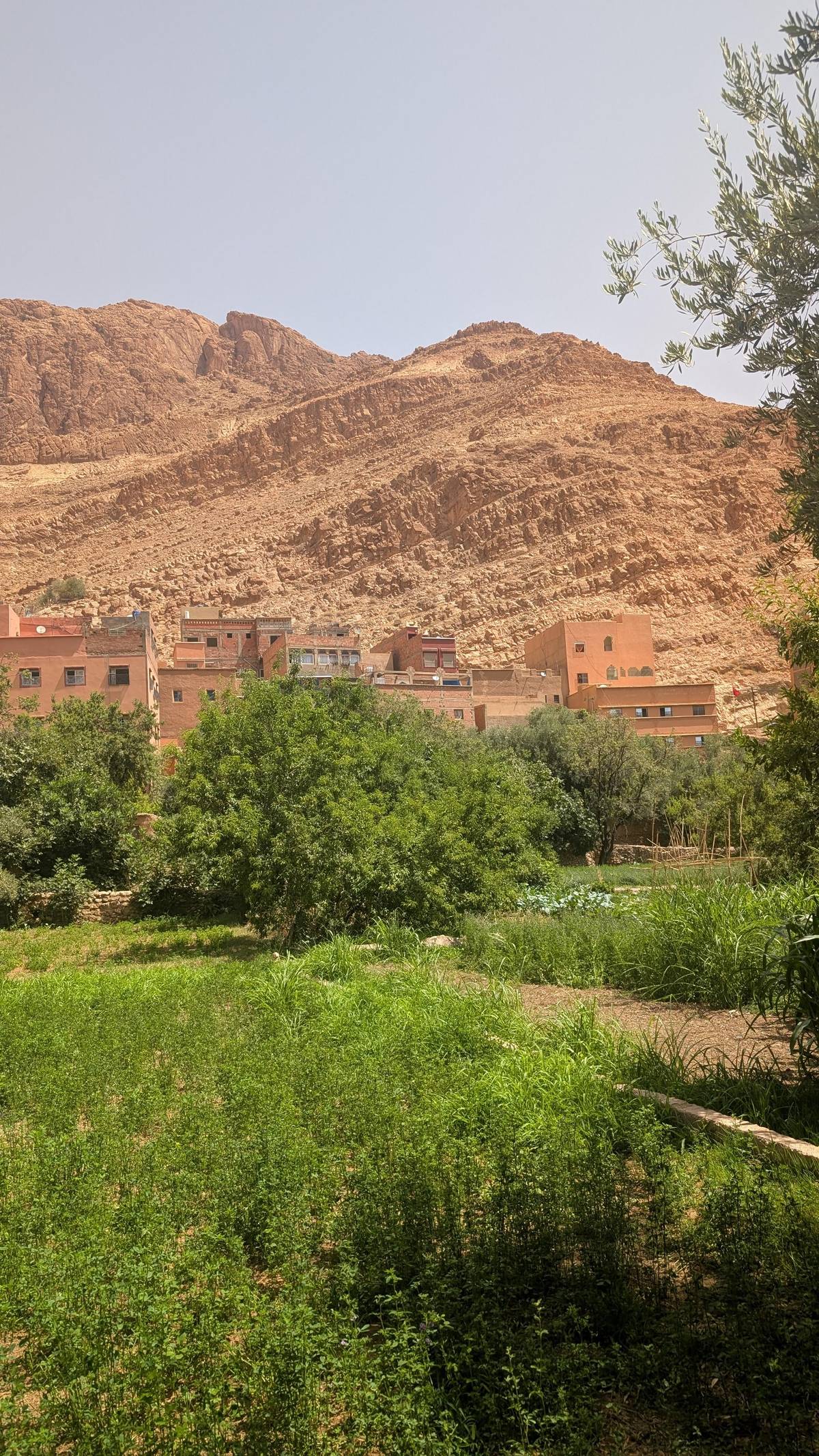 An oasis village of mud houses below a rocky ridge