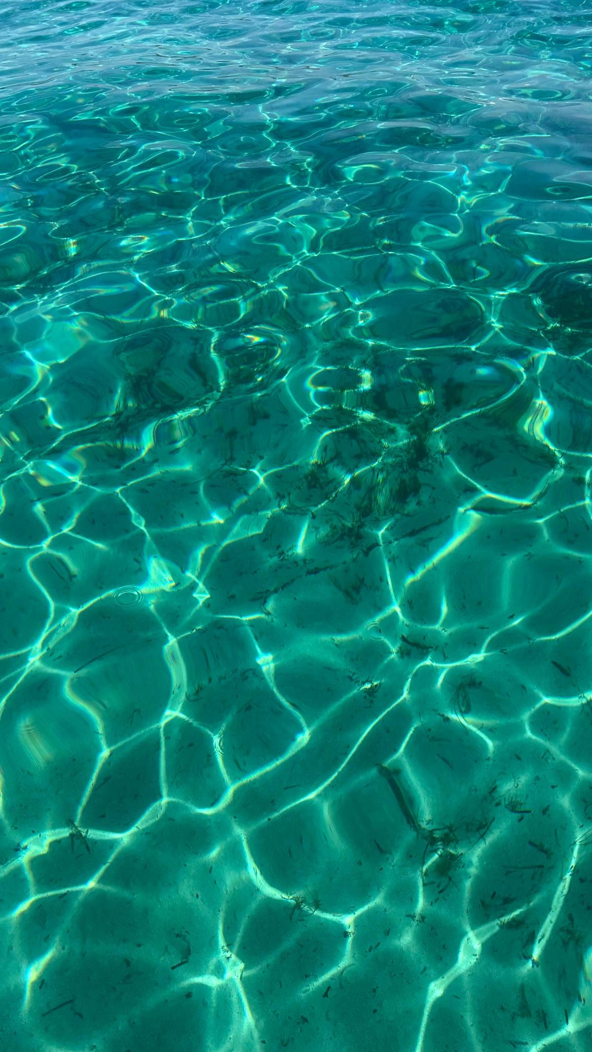 Sunlight on a sandy seabed