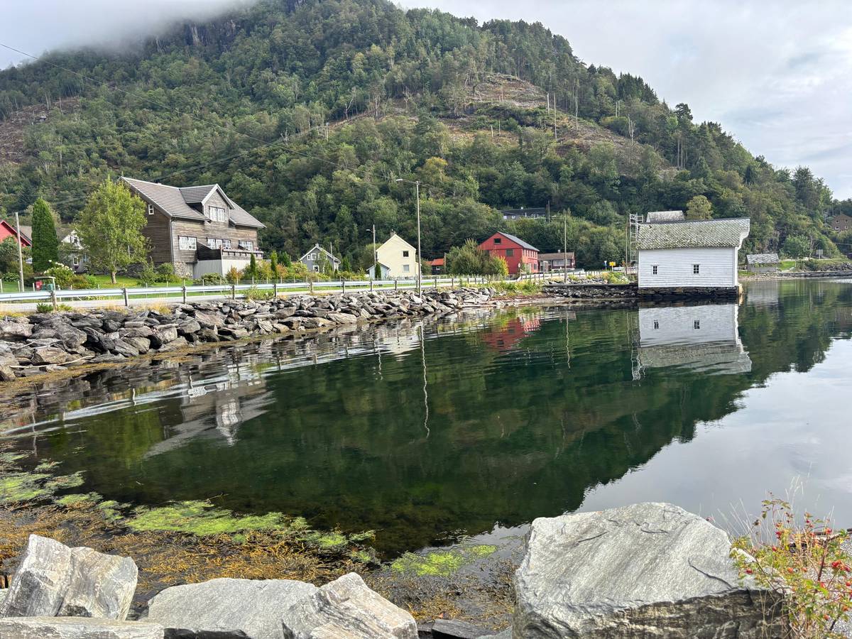 Hardangerfjord and waterfalls bus tour with apple pie