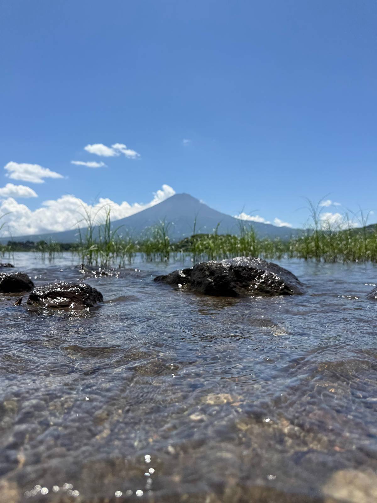 Mount Fuji 9 Iconic Spots Tour: Oshino Hakkai and Oishi Park
