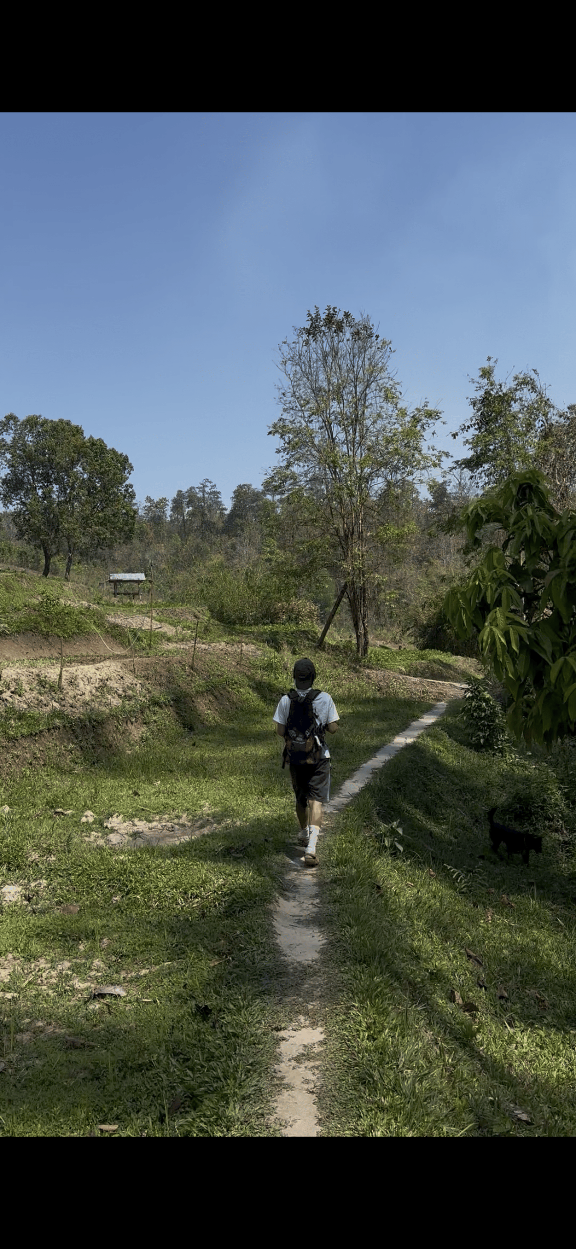 Jungle trekking in Chiang Mai: the treks compared