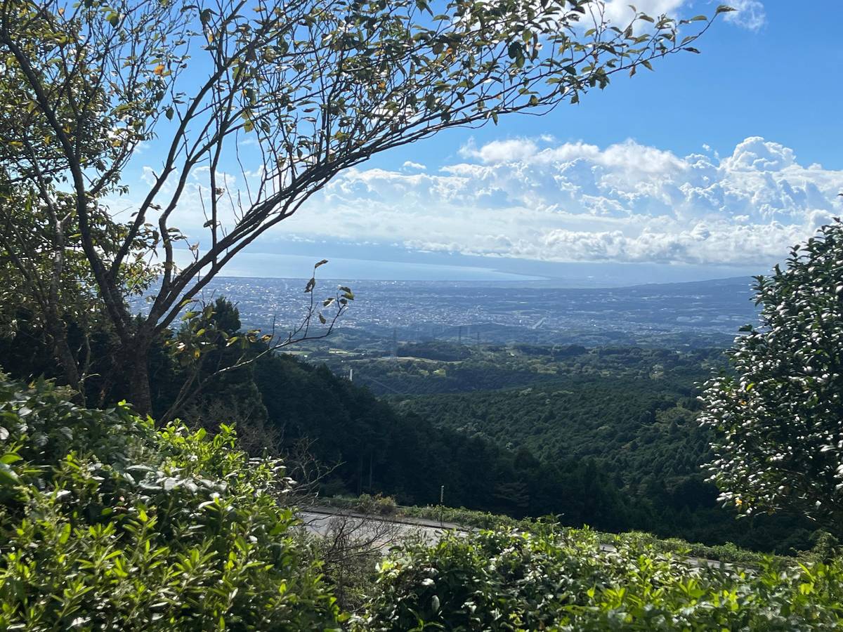 Hakone Hachiri: Old Tokaido Highway Hiking Tour